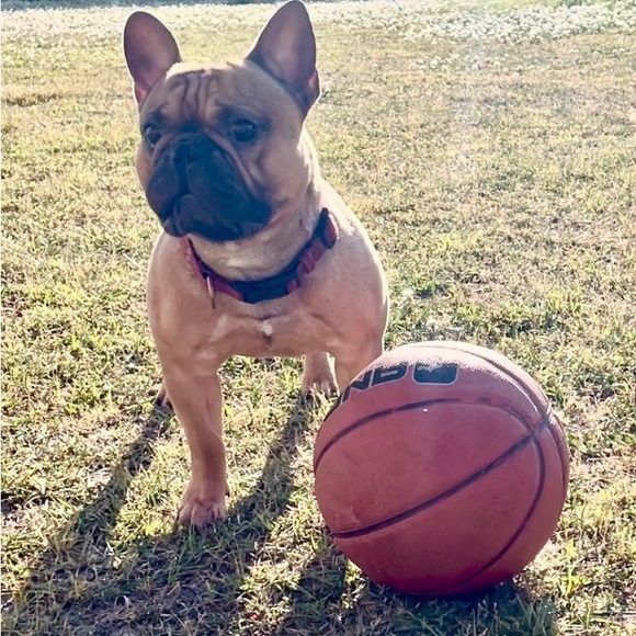 I am live, come hang out!!! - Picture 7 of 7